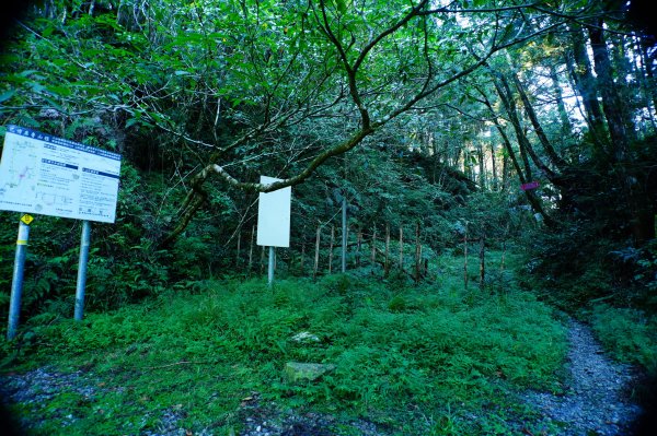 宜蘭 大同 巴博庫魯山3120723