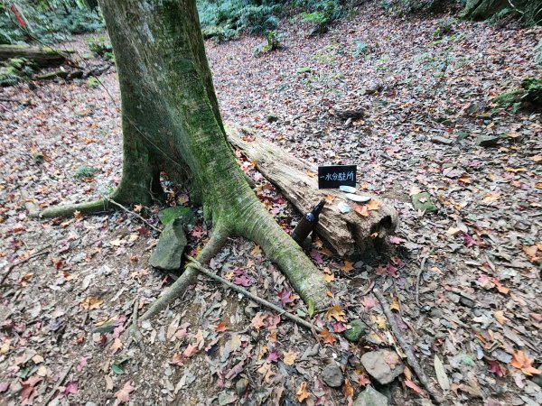 20260118騰龍山加里山O型2997505