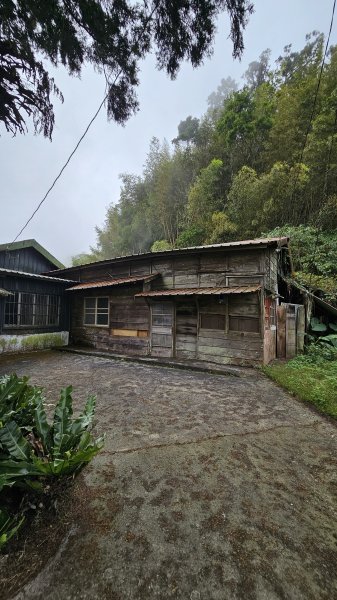 【四大天王山O型縱走未竟之旅：封山中的靜謐與省思】解鎖嘉義竹崎四大天王山、知鳥山。2929923