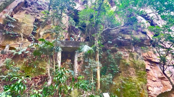 圓通寺烘爐地登山步道大O走3007140