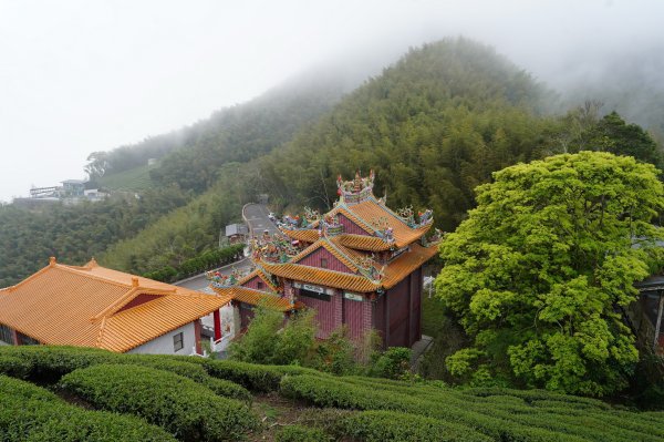 嘉義 梅山 太平山、梨子腳山、馬鞍山、二尖山、大尖山、碧湖山2748983