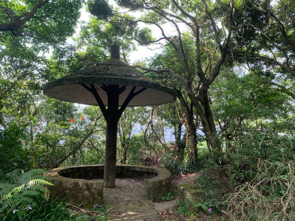 大崙頭尾山親山步道2767185