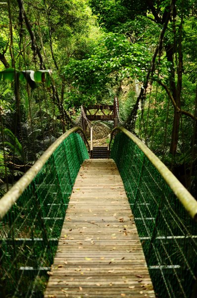 鄒族雅吾瑪斯步道916887