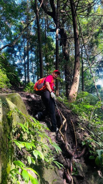 🌈8/30（日）光高天山+向天湖山（小百岳）~南庄老街FB：熊熊趴爬走(富裕登山社)🌈3113971