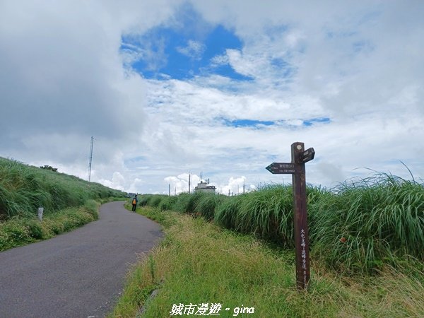 【台北北投】搭捷運公車爬山趣。 小百岳集起來。編號1小百岳~大屯山主峰步道1762767