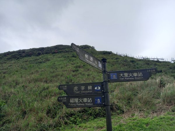 灣坑頭山2666110