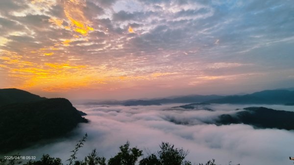 #翡翠水庫壩頂 #日出雲海 #火燒雲 #藍腹鷴 #夜路走多了總會遇到鬼？！#松月櫻 4/182764586