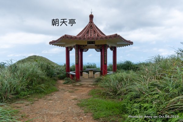 茶壺山登山步道700936