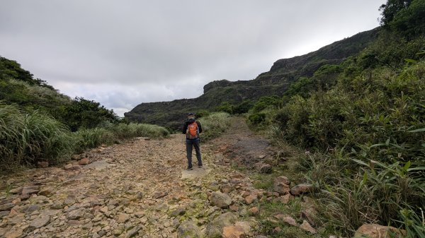 115.05.31燦光寮古道-草山-不厭亭之旅3067255