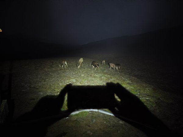 大水窟、達芬尖山2780091