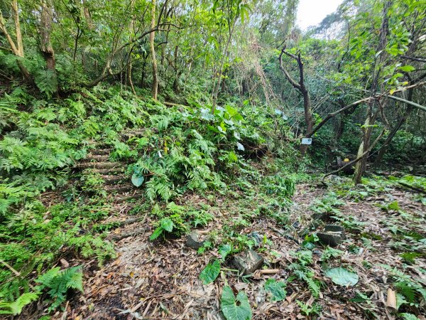 20241201侯硐復興煤礦三貂嶺山大小粗坑O型2681270