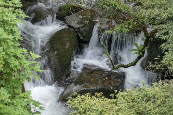 草山避暑3081687