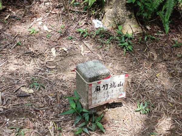 雙溪蝙蝠山-苕谷瀑布-麻竹坑山-梅竹蹊山2793952