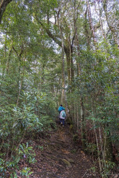 谷關七雄_屋我尾山2977020