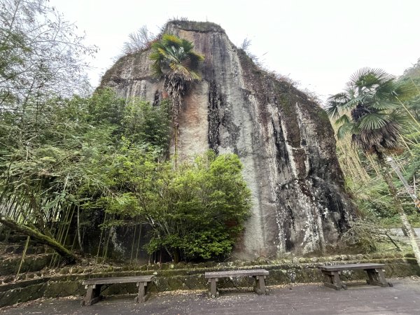 [嘉遊好步道．來嘉走走-04/10] 2024_1011 阿里山頂湖步道2624726