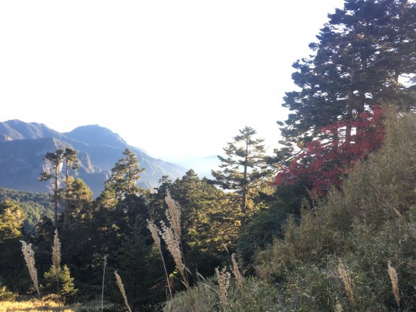 雪山 不下雪533084