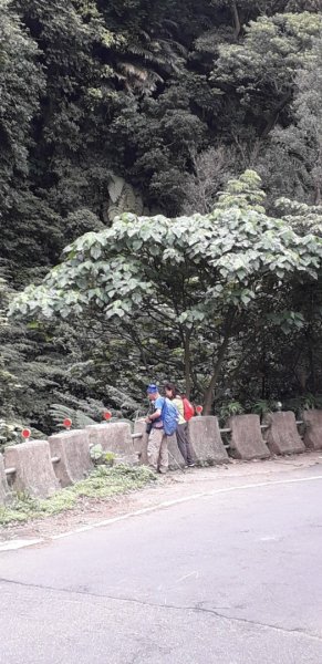 流水潺淙的半嶺水圳步道、十八拐圳步道977823