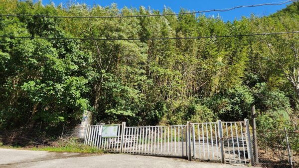 【中級山】插天山的奇幻世界，赫威山，赫威神木群步道2741342