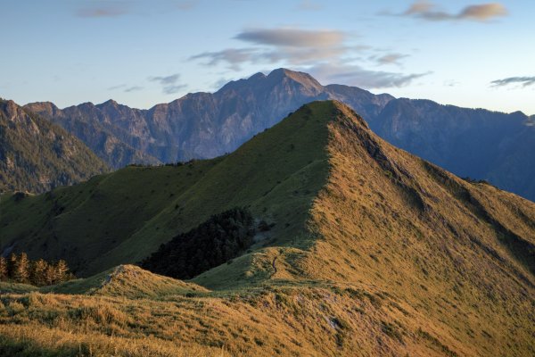 大小劍-油婆蘭全紀錄2674272