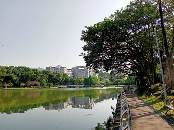 【臺北大縱走5】碧湖公園→碧山巖→忠勇山越嶺步道→金龍產業道路→圓明寺、鄭成功廟步道→文間山→劍南路2120973