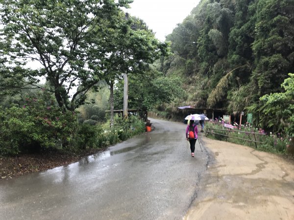 110年4月25日雲林  雲嶺之丘 五元二角 木馬古道1456554