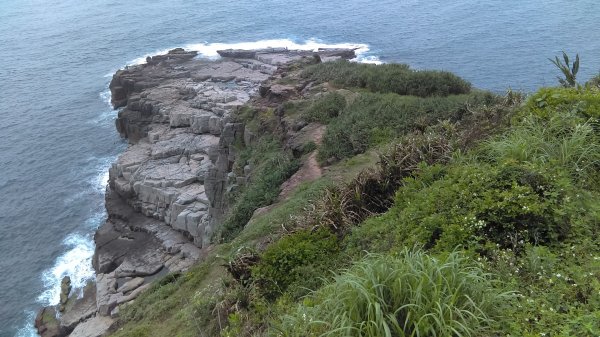 【東北角生態步道尋寶石】 龍洞灣岬步道965553