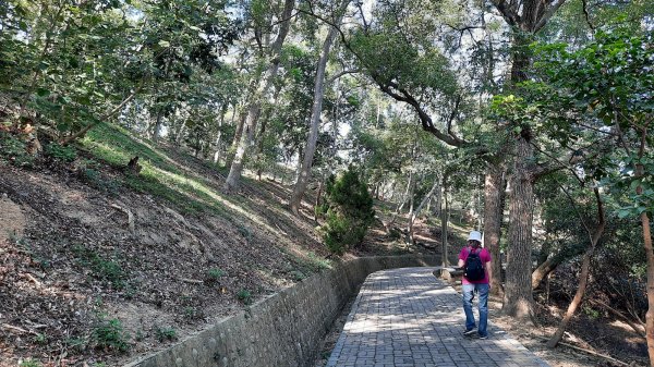 《苗栗》山海微旅｜貓貍山功維敘隧道及後龍好望角夕照202111071507720