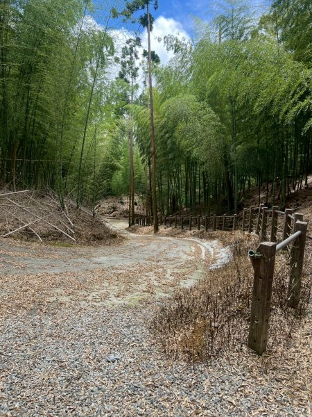 嵐山再古坑。五元兩角 木馬古道2806180