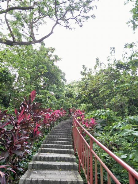 自來水園區，小觀音山123354