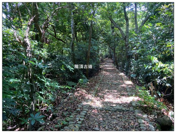南投台、隴頂古道、員林廣天宮、員林神社 連走3112713