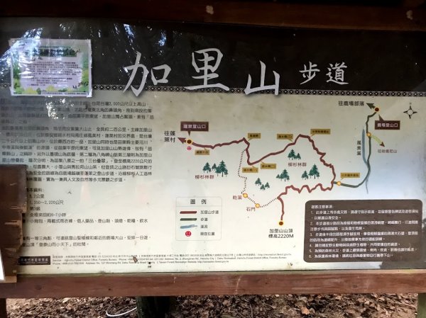 加里山大坪登山口201911241965144