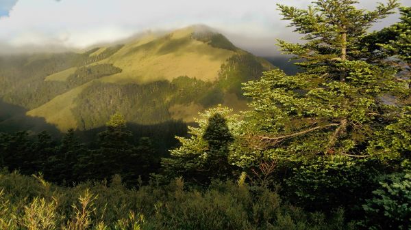 合歡山主峰、東峰、石門山及合歡尖山之行361013