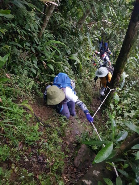 糜爛山友:瑞芳耍廢.五四縱走514609