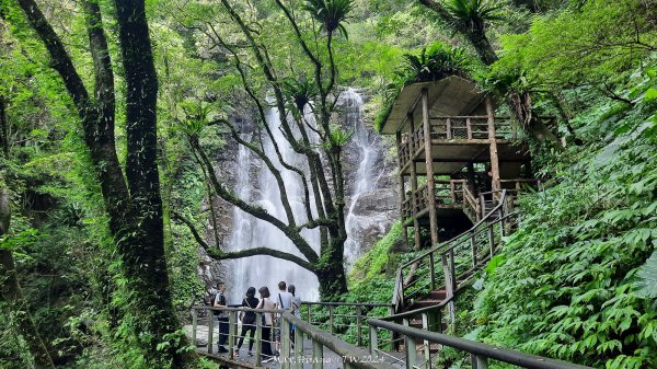 《新北》享負離子｜滿月圓國家森林遊樂區步道群O繞20240830封面