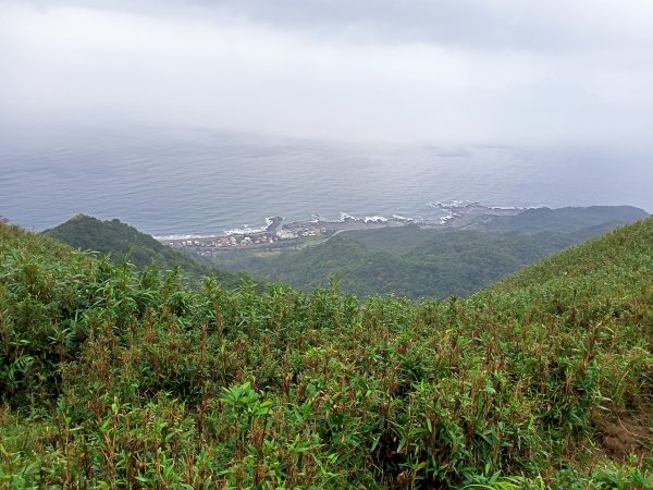 【小百岳集起來】內寮蕭家莊→桃源谷內寮線→草嶺線→福德山→#082灣坑頭山1523509