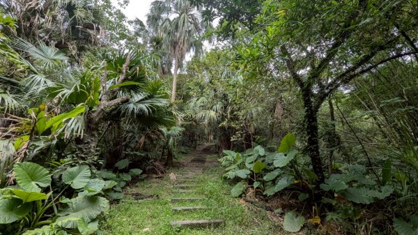114.06.07過港山-四腳亭砲台-深澳坑砲台山之旅2806567