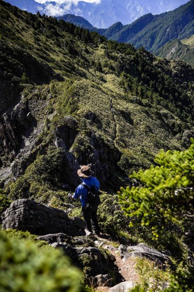 帝王之座-南湖主峰線｜南湖大山＋南湖南峰＋巴巴山2884970