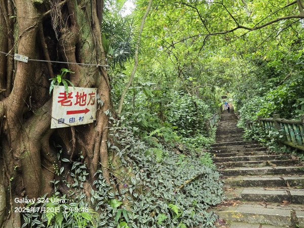 2025-07-20臺北大縱走第五段：捷運劍潭站至碧山巖(劍潭支線)2842558