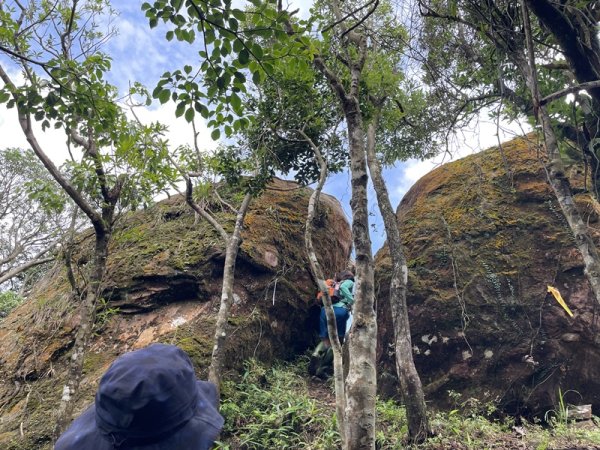 司公髻尾山2802978