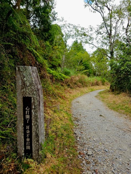 翠峰湖環山步道-(宜蘭)臺灣百大必訪步道2827550