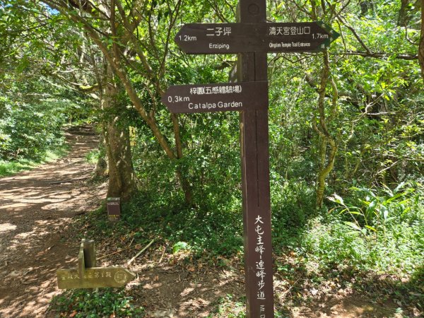 大屯主峰-連峰步道環形（小百岳）2904378