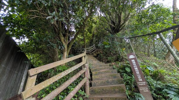 南勢角山步道3122085