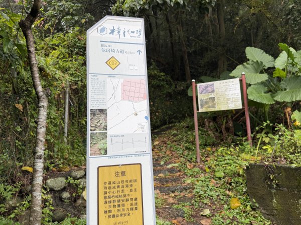 [樟之細路_第一大段RSA04] 2026_0329 伙房崎古道3027146