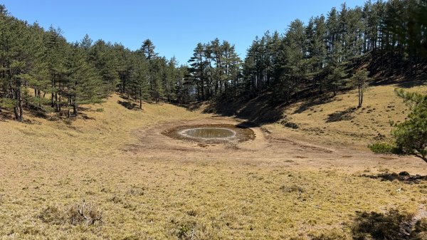 南二段 2026 03/12-17 六天五夜3018258