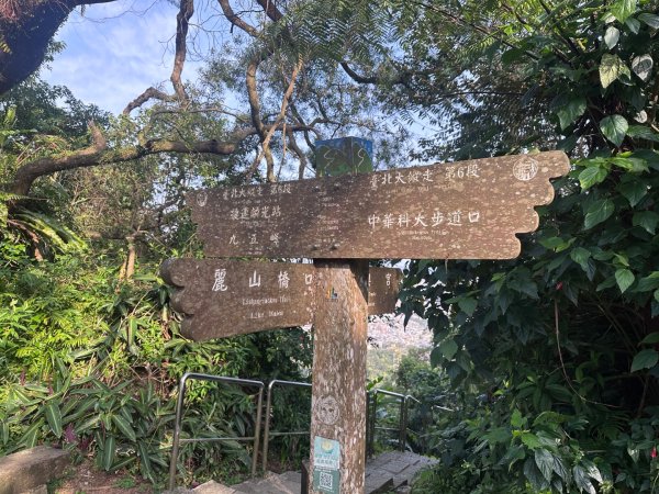 台北大縱走六七段2752093