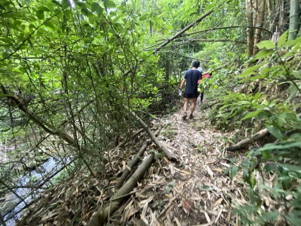 20250706-EP.08四寮溪生態步道-2025森遊竹縣皮皮獅探險隊2851862