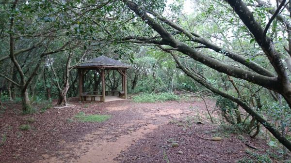 大肚環保公園登山步道353157