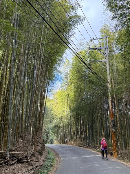 溪頭四秀+羊彎四秀202601182991371