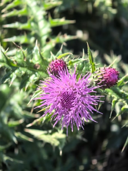 鼻頭角秘境2750422