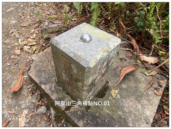 大凍山、頂湖步道 O型ㄧ圈2984155